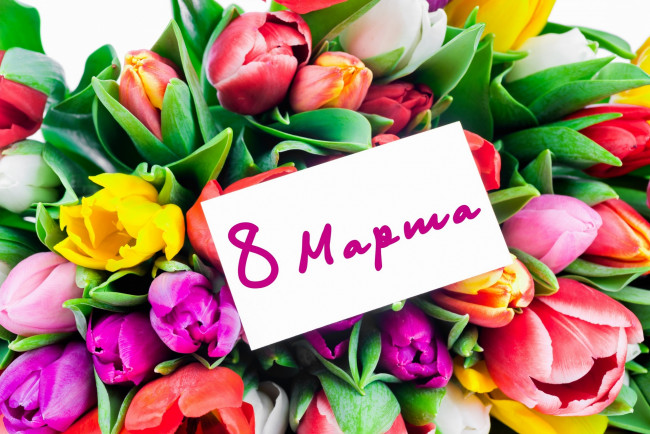Обои картинки фото праздничные, международный женский день - 8 марта, тюльпаны, цветы