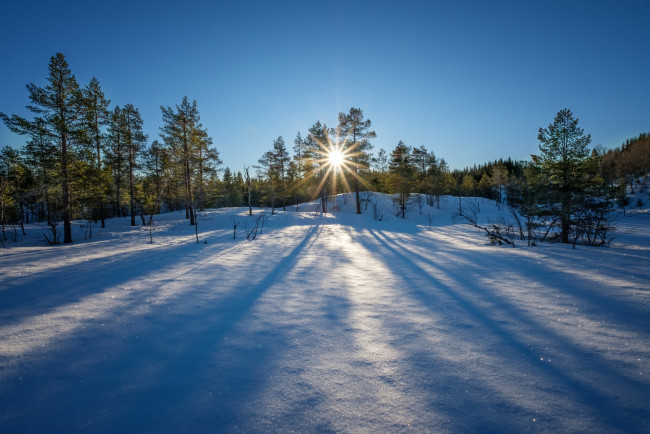 Обои картинки фото природа, зима, снег, солнце, деревья