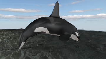 Картинка 3д+графика животные+ animals дельфин