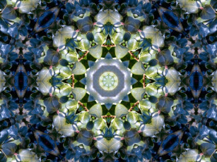 Картинка 3д графика fractal фракталы абстракция узор цвета
