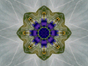 Картинка 3д графика fractal фракталы цвета абстракция узор