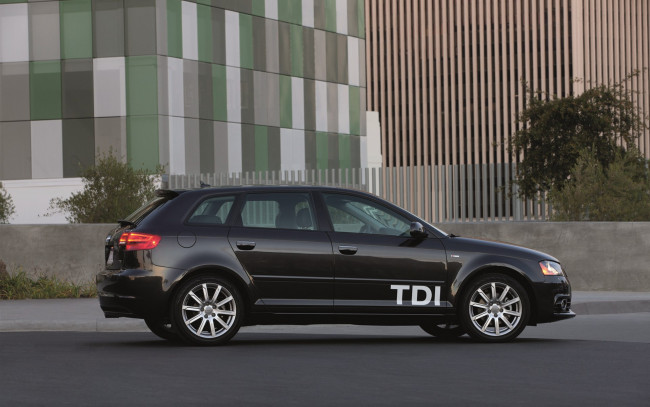 Обои картинки фото audi, a3, tdi, 2011, автомобили