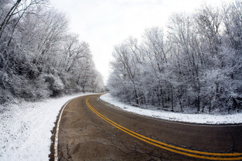 Картинка природа дороги деревья дорога зима