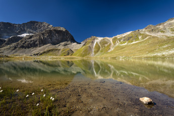 Картинка природа реки озера озеро отражение холмы цветы камни гладь вода горы