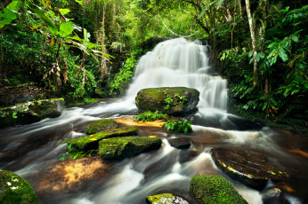 Картинка природа водопады джунгли камни лес река