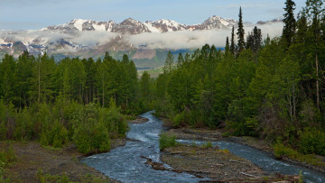 Картинка природа реки озера аляска горы река лес деревья