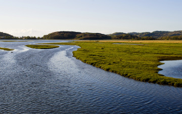 Картинка природа реки озера река трава берег вода холмы