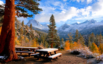 Картинка winter picnic природа парк скамейка зима дерево площадка горы