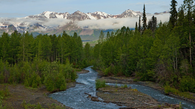 Обои картинки фото природа, реки, озера, аляска, горы, река, лес, деревья