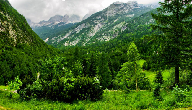 Обои картинки фото словения, bovec, природа, горы, лес
