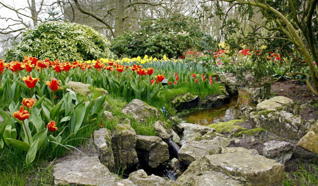 Обои картинки фото keukenhof, lisse, netherlands, природа, парк, тюльпаны