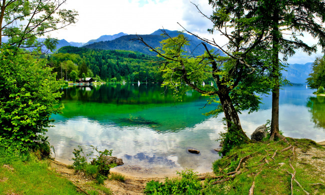Обои картинки фото словения, bohinj, природа, реки, озера, река, лес, горы