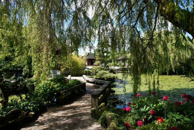 Обои картинки фото chinese, gardens, канада, vancouver, природа, парк, мостик, водоем, сад