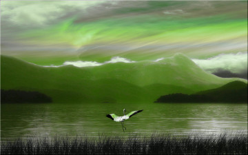 Картинка 3д графика animals животные озеро горы дымка фламинго