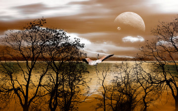 Картинка 3д графика architecture архитектура планета фламинго отражение озеро