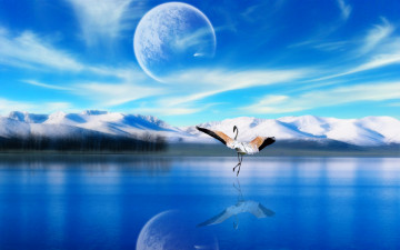 Картинка 3д графика atmosphere mood атмосфера настроения планета фламинго озеро отражение