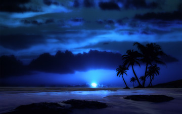 Картинка 3д графика nature landscape природа ночь горизонт пальмы остров тучи светило