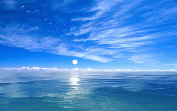 обоя 3д, графика, sea, undersea, море, птицы, облака, дымка, горизонт, океан