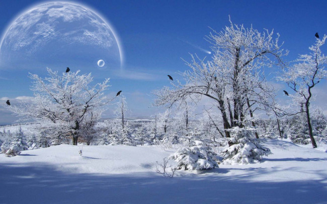 Обои картинки фото 3д, графика, architecture, архитектура, планета, птицы, деревья, снег, зима
