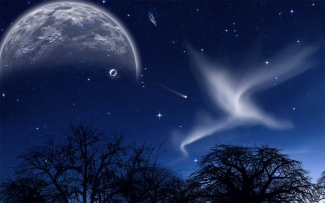 Обои картинки фото 3д, графика, atmosphere, mood, атмосфера, настроения, планета, звезды, деревья, ночь, небо