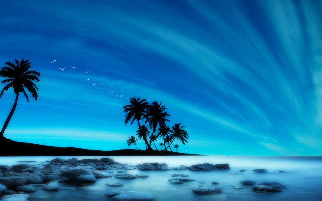 Обои картинки фото 3д, графика, nature, landscape, природа, облака, небо, пальмы, океан, пляж, камни