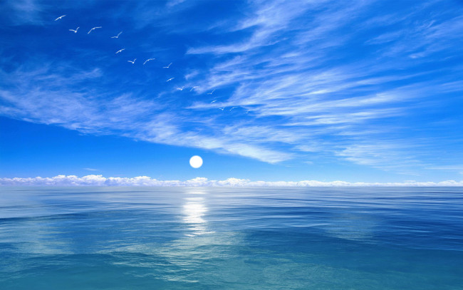 Обои картинки фото 3д, графика, sea, undersea, море, птицы, облака, дымка, горизонт, океан