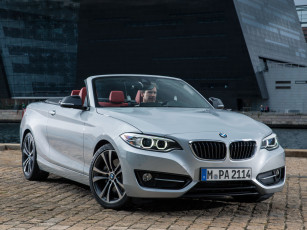 обоя автомобили, bmw, 2014г, f23, line, sport, cabrio, 228i, серый