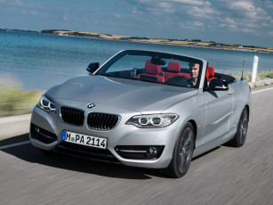 обоя автомобили, bmw, line, sport, cabrio, 228i, серый, 2014г, f23