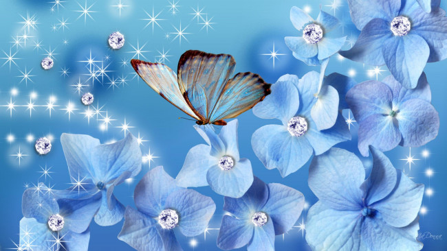 Обои картинки фото разное, компьютерный дизайн, бабочка, цветы