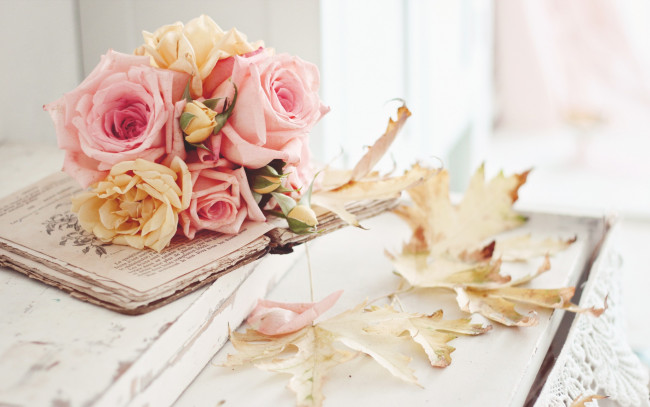 Обои картинки фото цветы, розы, натюрморт, осень, листья