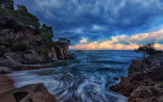 Обои картинки фото природа, побережье, закат, море, скалы, деревья, волны