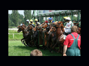 Картинка спорт конный