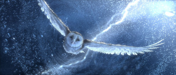 Картинка мультфильмы legend of the guardians owls ga’hoole легенда гроза ночной страж полёт сова