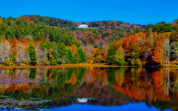 обоя autumn, природа, реки, озера, отражение, лес, озеро, красота, краски, осень