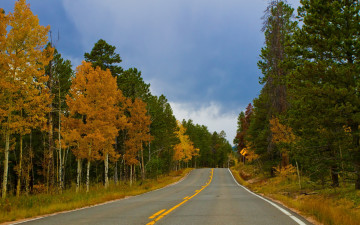 обоя природа, дороги, дорога, лес, осень