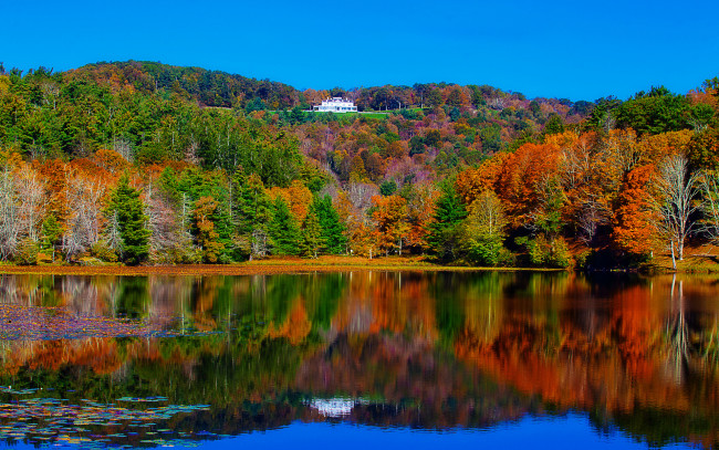 Обои картинки фото autumn, природа, реки, озера, отражение, лес, озеро, красота, краски, осень
