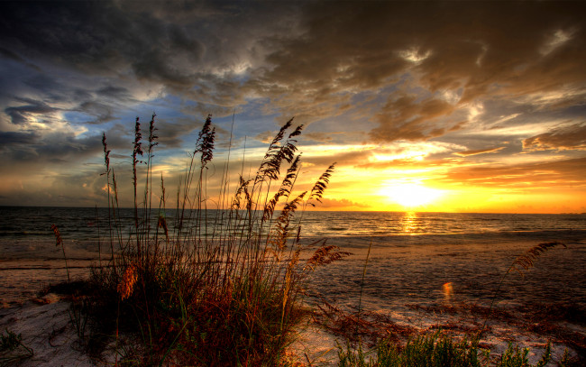 Обои картинки фото природа, восходы, закаты, океан, закат, трава, пляж
