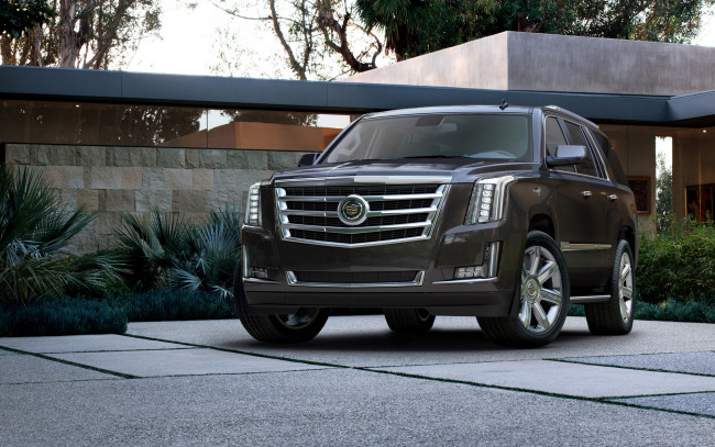 Обои картинки фото автомобили, cadillac, escalade