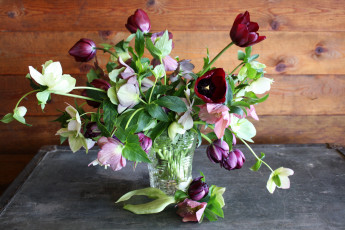 Картинка цветы разные+вместе тюльпаны морозник ваза