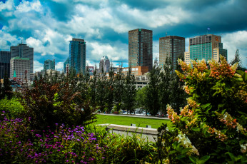 Картинка montreal города монреаль+ канада парк высотки