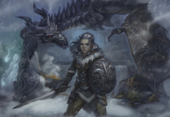 Картинка видео+игры the+elder+scrolls+v +skyrim дракон меч щит униформа фон взгляд девушка