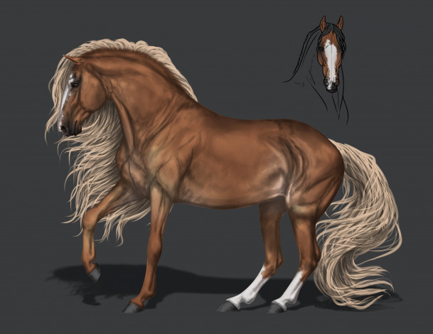 Обои картинки фото рисованное, животные,  лошади, конь, грива, фон