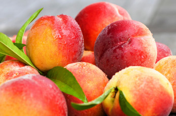 Картинка еда персики +сливы +абрикосы фрукты нектарины сочные вкусные зрелые сладкие десерт