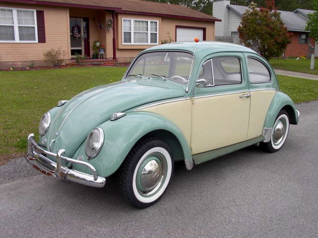 Обои картинки фото 1961, vw, beetle, classic, автомобили, volkswagen