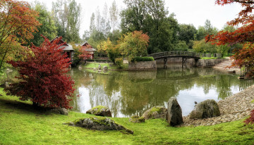 Картинка japanese garden hasselt бельгия природа парк водоем мостик японский сад