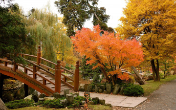 Картинка польша вроцлав природа парк деревья осень мостик
