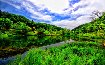 Картинка природа реки озера лето лес зелень деревья трава простор