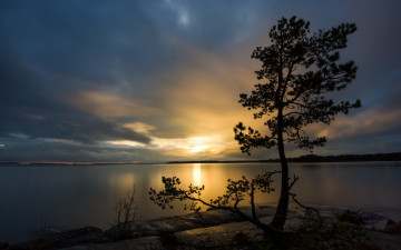 Картинка природа восходы закаты дерево закат озеро