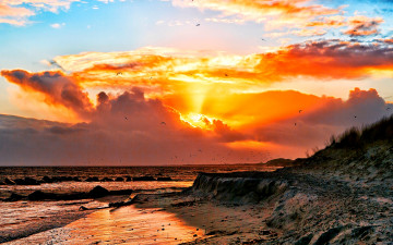 Картинка природа восходы закаты закат солнце тучи пляж океан скалы