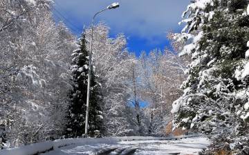 Картинка природа зима дорога снег пейзаж
